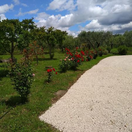 Casa Vacanze Le Rose Ariccia Dış mekan fotoğraf