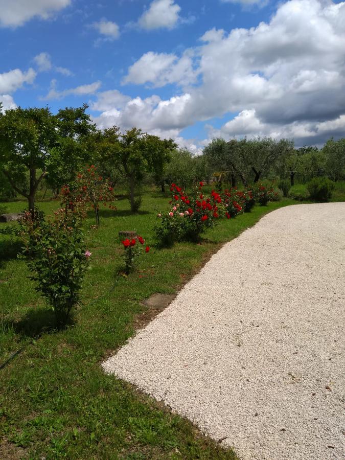 Casa Vacanze Le Rose Ariccia Dış mekan fotoğraf
