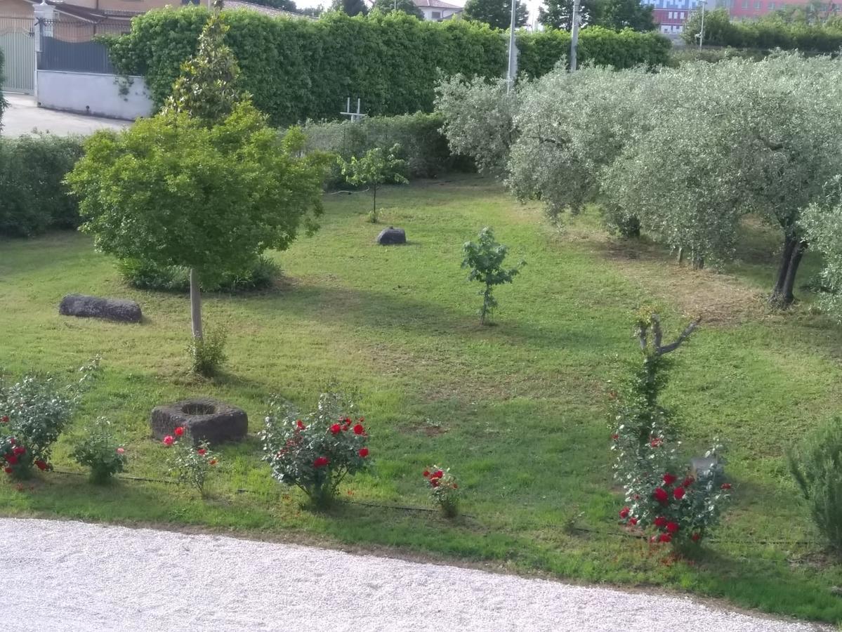 Casa Vacanze Le Rose Ariccia Dış mekan fotoğraf