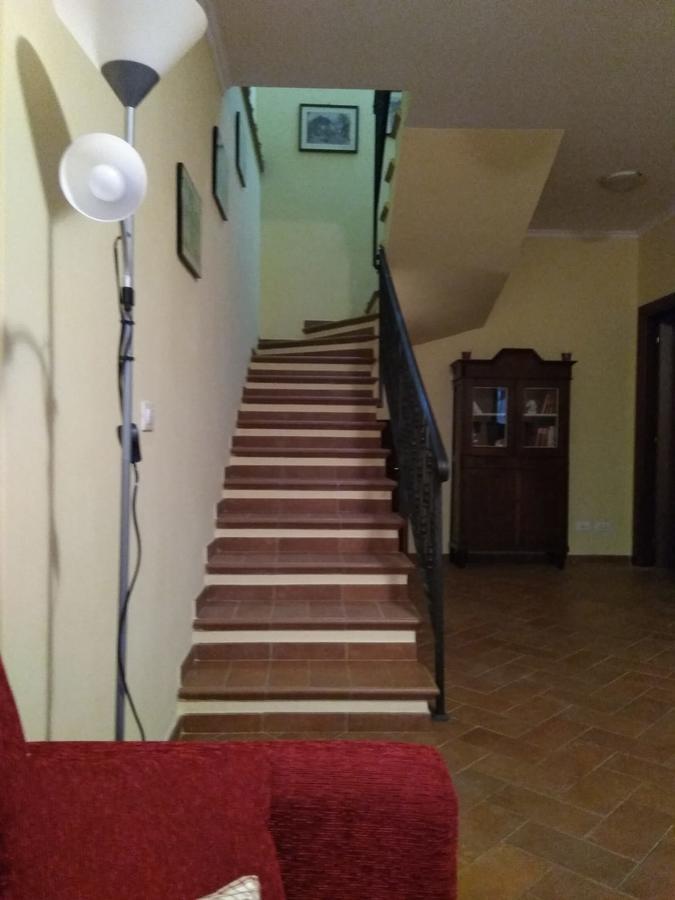 Casa Vacanze Le Rose Ariccia Dış mekan fotoğraf