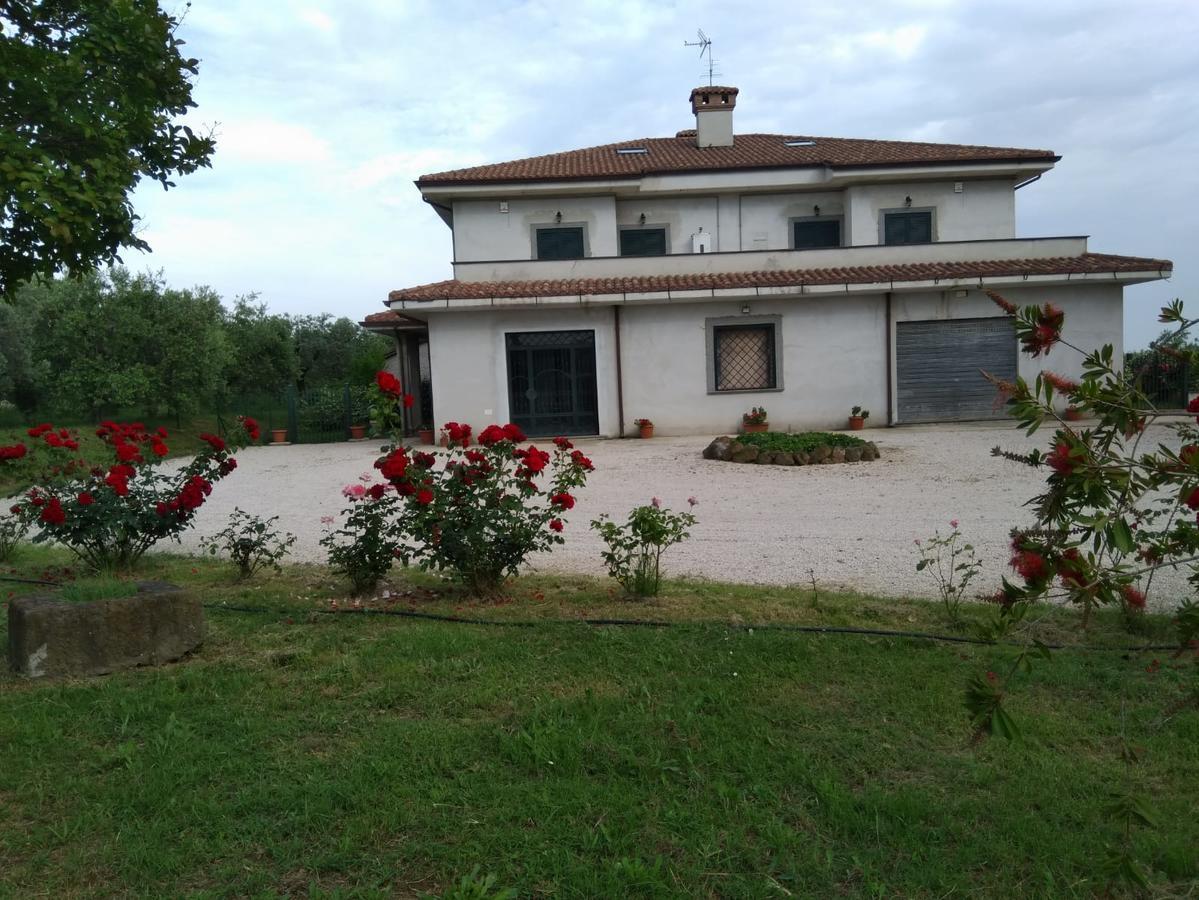 Casa Vacanze Le Rose Ariccia Dış mekan fotoğraf