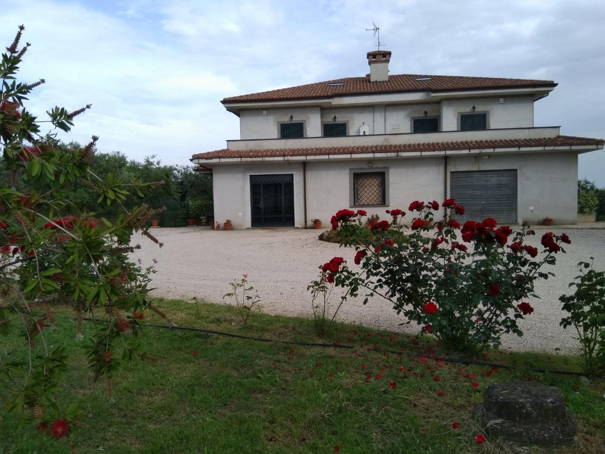 Casa Vacanze Le Rose Ariccia Dış mekan fotoğraf