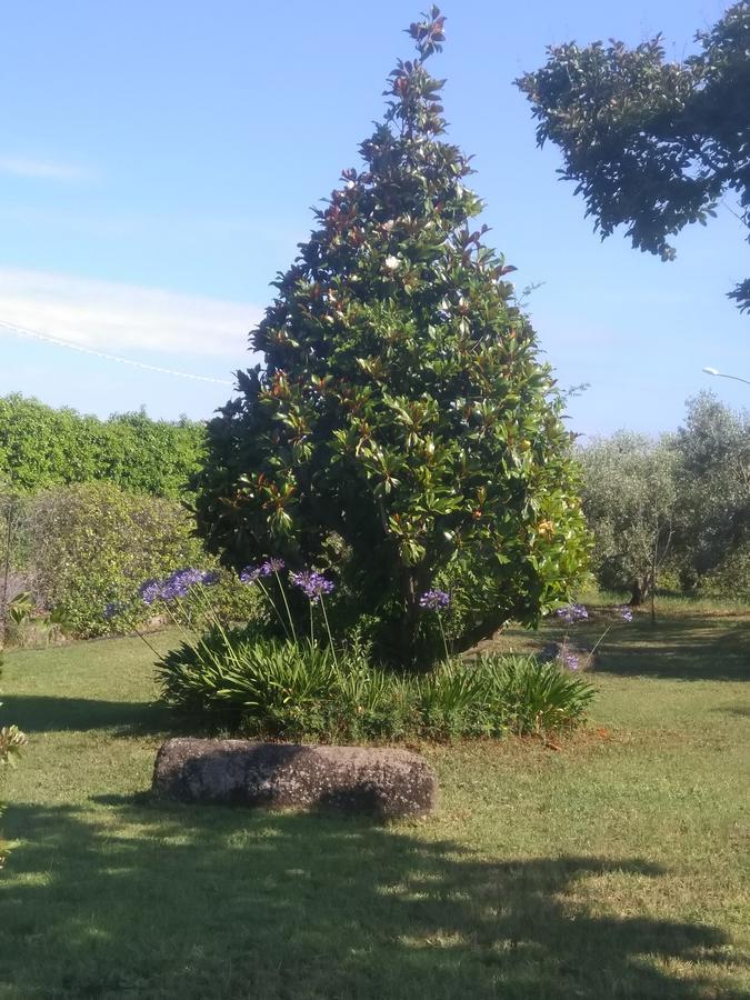 Casa Vacanze Le Rose Ariccia Dış mekan fotoğraf