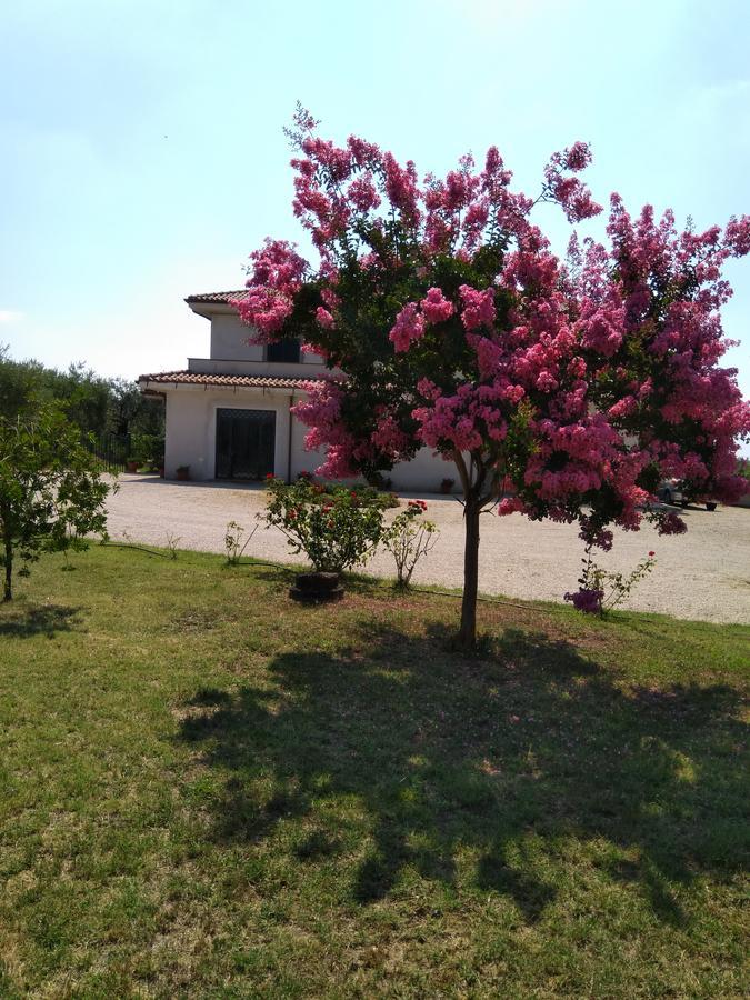 Casa Vacanze Le Rose Ariccia Dış mekan fotoğraf
