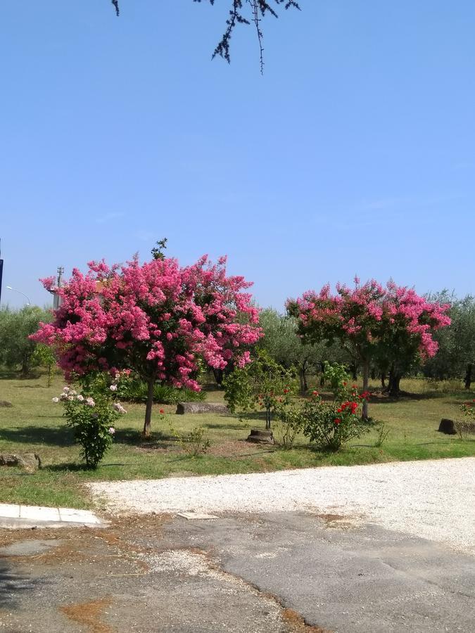 Casa Vacanze Le Rose Ariccia Dış mekan fotoğraf