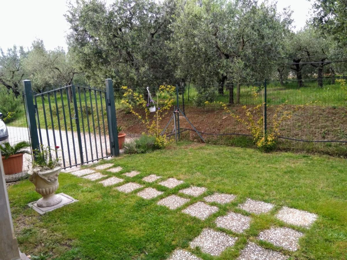Casa Vacanze Le Rose Ariccia Dış mekan fotoğraf